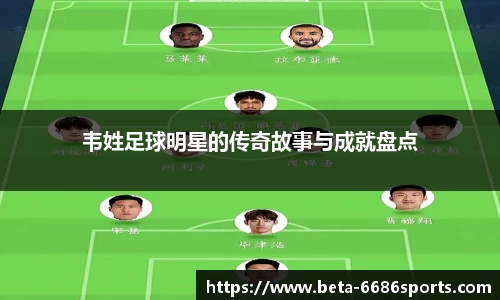 韦姓足球明星的传奇故事与成就盘点